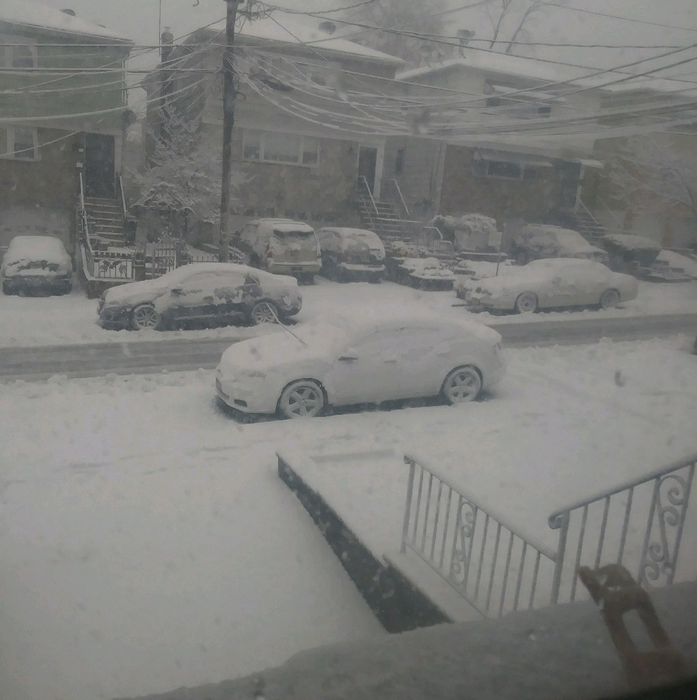 Meet your Posher, Trilly